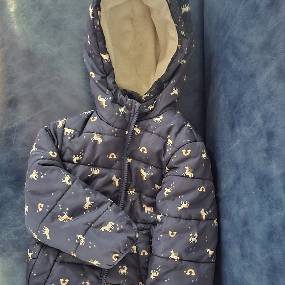 Carters Winter Coat - Picture 1 of 3